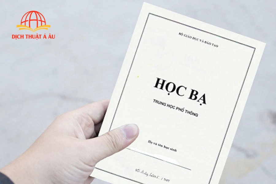 Dịch Thuật Công Chứng Học Bạ: Quy Trình Chuẩn Để Hồ Sơ Không Bị Trả Về