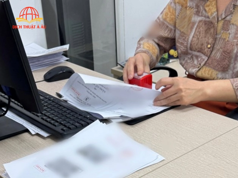 Danh mục dịch vụ hỗ trợ toàn diện cho khách hàng tại Tân Bình